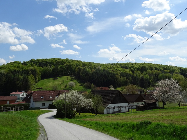 Wanderweg - Neustift-Fidischwald