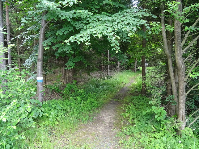 Gerichtsbergweg W65