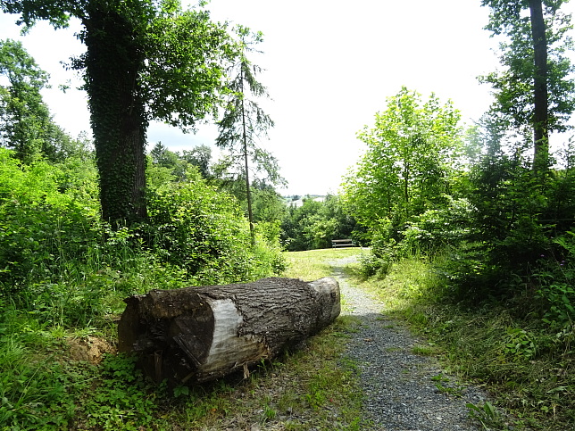 Gerichtsbergweg W65