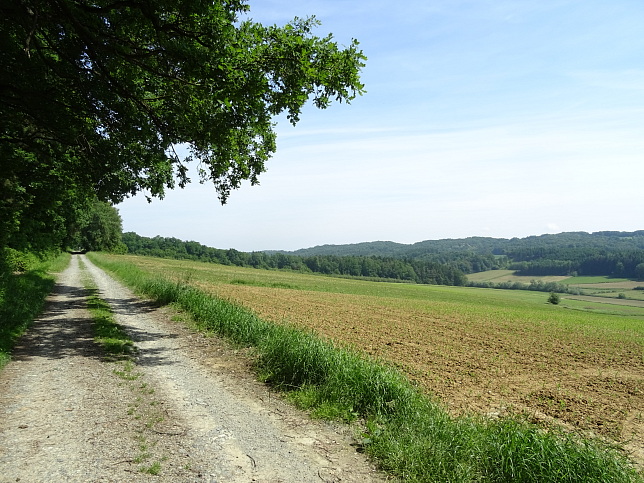Rehgraben - Panoramaweg