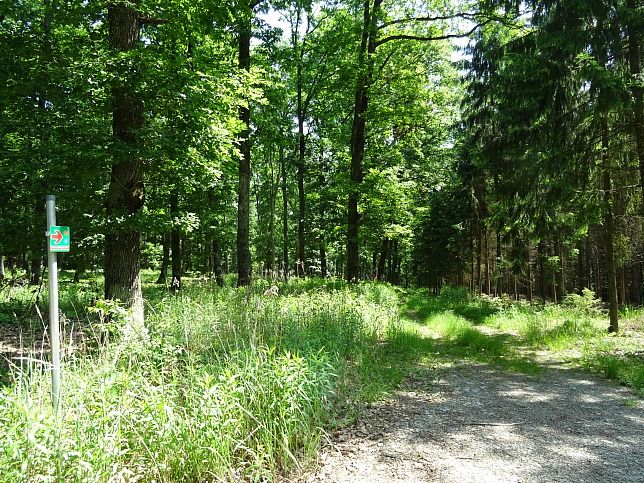 Rehgraben - Panoramaweg