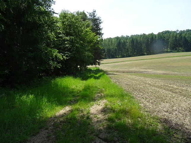 Rehgraben - Panoramaweg