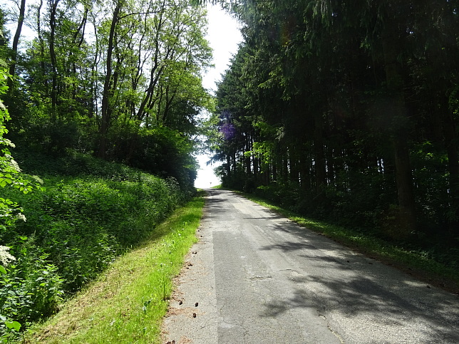 Rehgraben - Panoramaweg