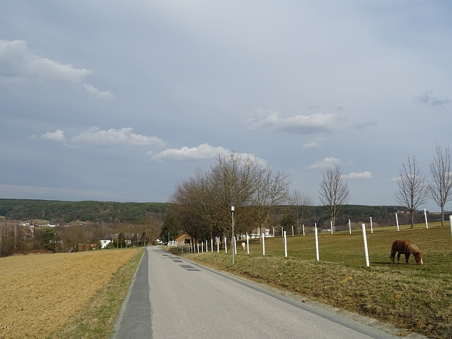 Reiter's Resort Runde S3