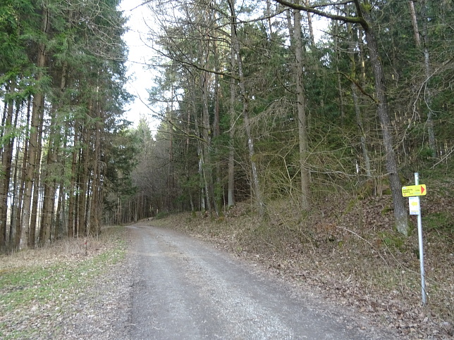 Reiter's Resort Runde S3