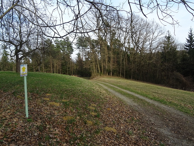 Reiter's Resort Runde S3