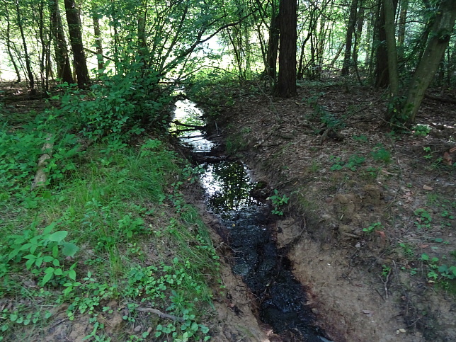 Steinfurt - Rundweg