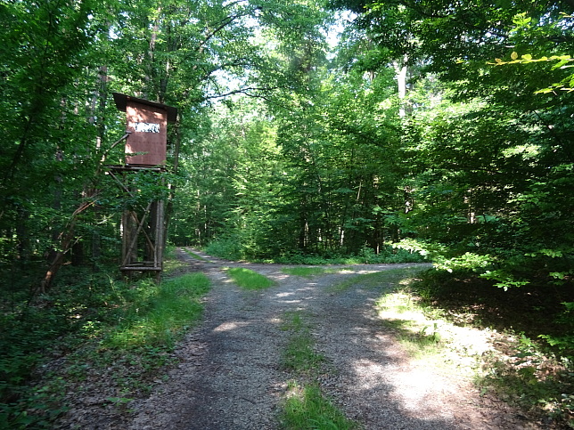 Steinfurt - Rundweg