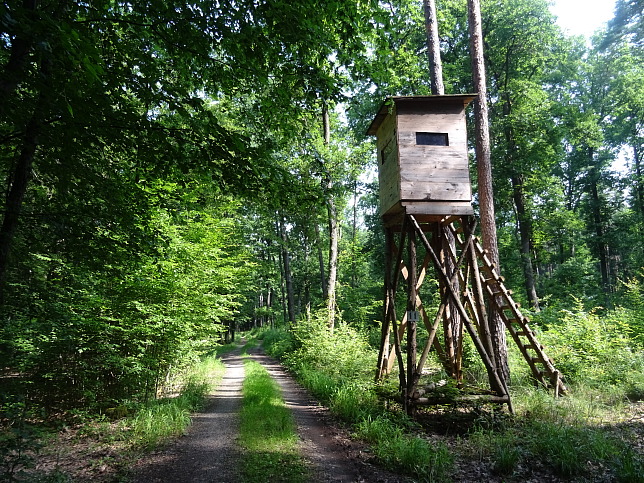 Steinfurt - Rundweg