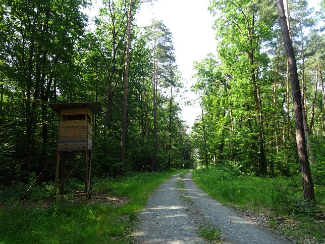 Steinfurt - Rundweg