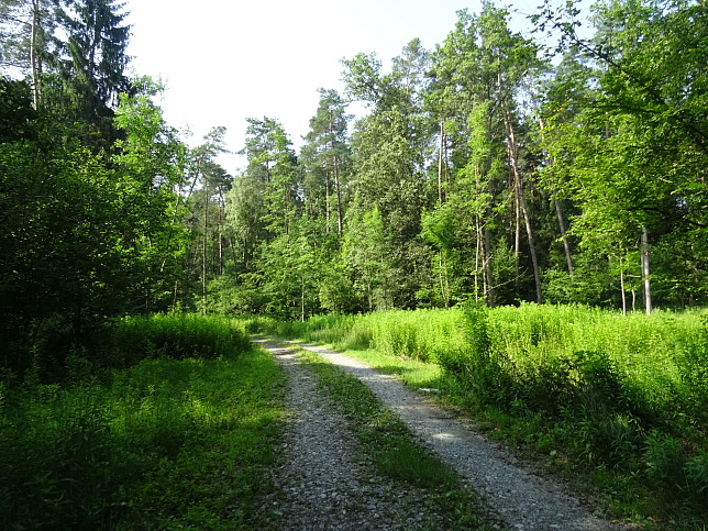 Steinfurt - Rundweg