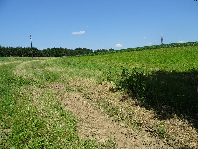 Wrterberg - Rundweg