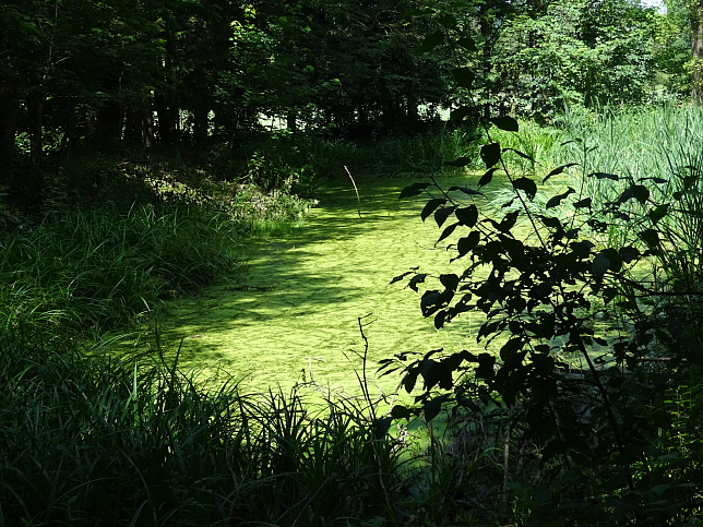 Wrterberg - Rundweg