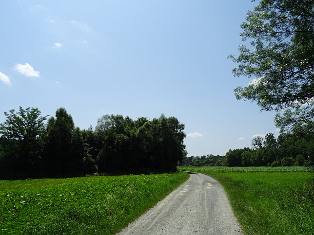 Wrterberg - Rundweg