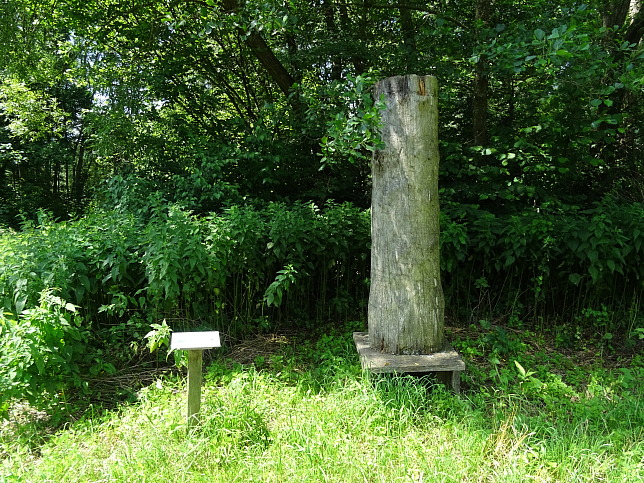 Wrterberg - Rundweg