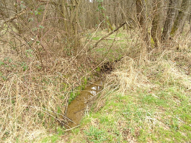 Graben vom Petzischberg