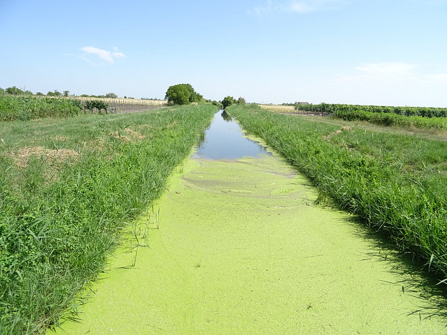 Golser Kanal