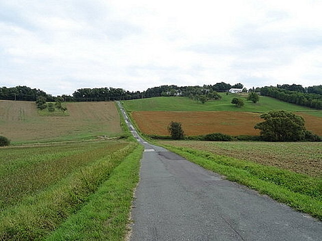 Bach von Hasendorf
