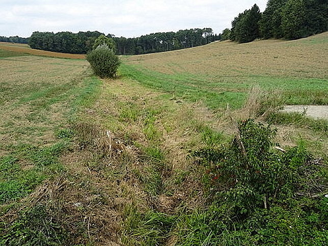 Bach von Hasendorf