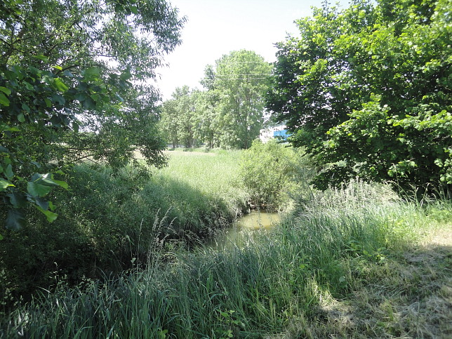 Sulz, Zusammenfluss von Zickenbach und Sulzbach