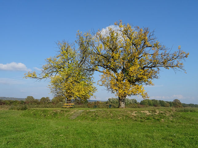 Heiligenkreuz, Flutmulde