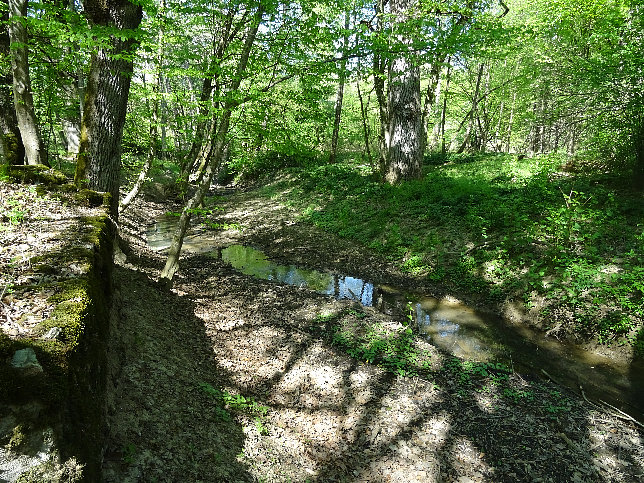 Gerenthbach