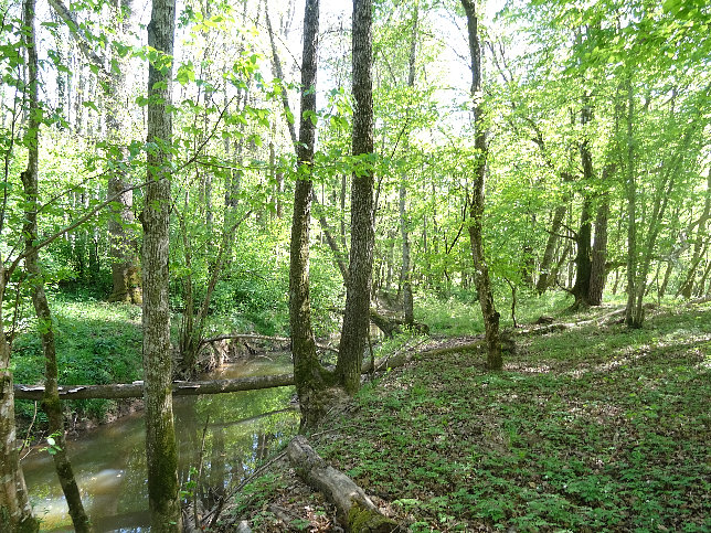 Gerenthbach