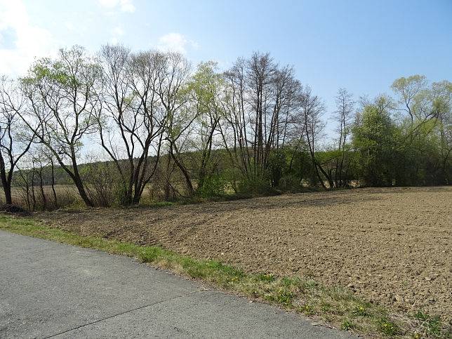 Saubach