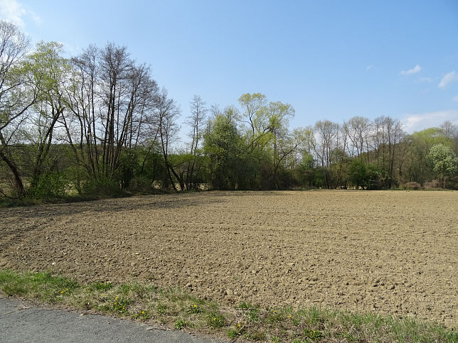 Saubach