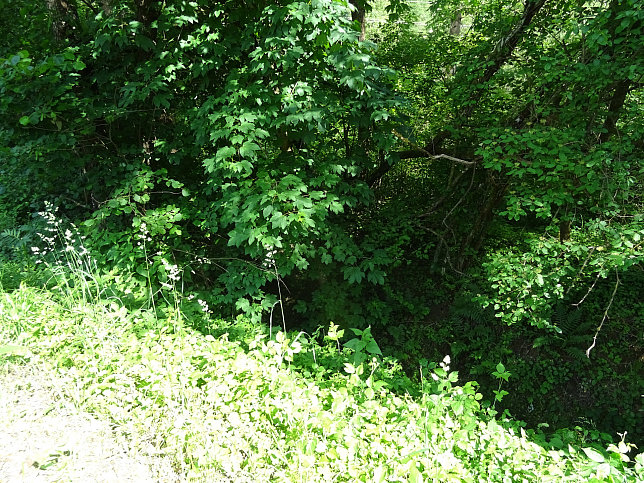 Neuberggraben