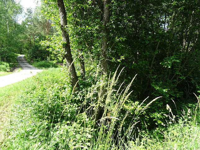 Neuberggraben