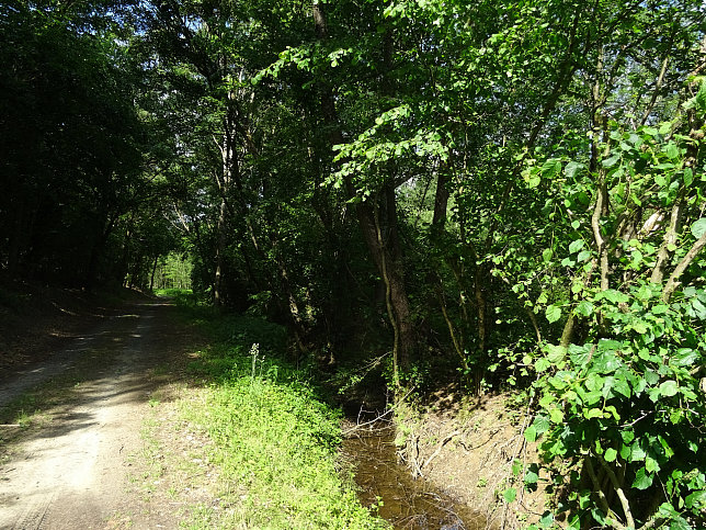 Neuberggraben