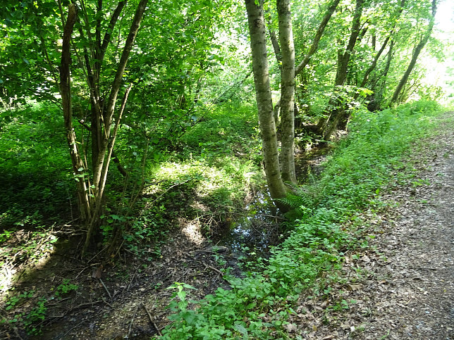 Neuberggraben
