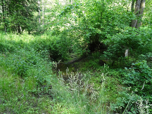 Neuberggraben