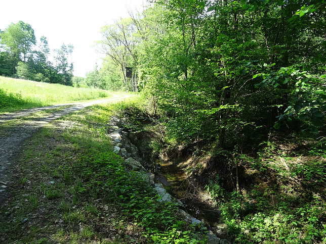 Neuberggraben