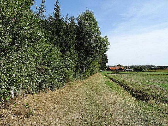 Graben von Pusstawald