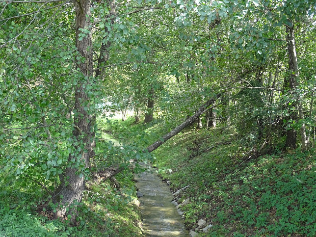 Lisstenbach