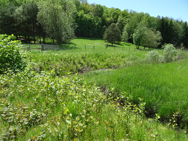 Reinersdorf, Hamerlgraben