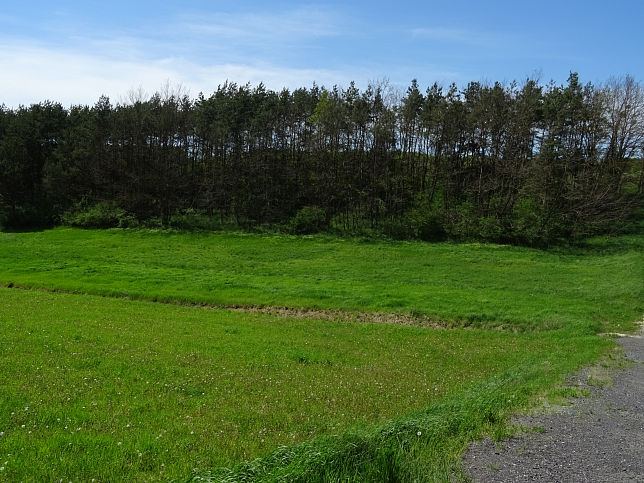 Zufluss zum Bach von Hochberg