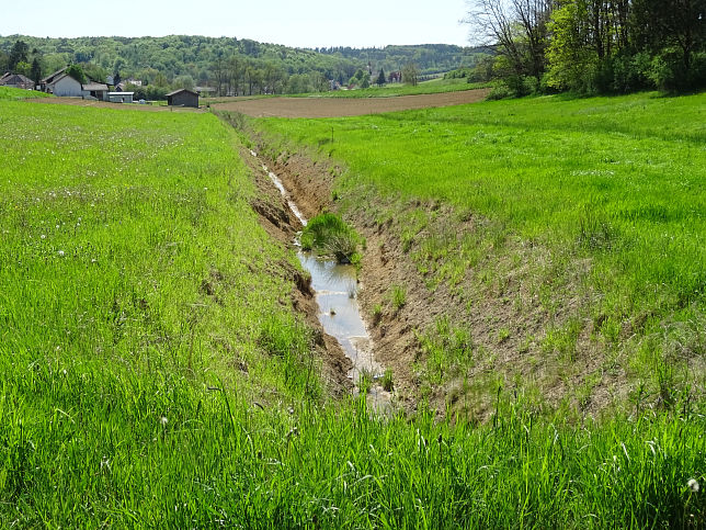 Zufluss zum Bach von Hochberg
