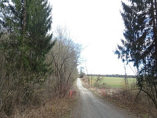 Waldbrcklgraben