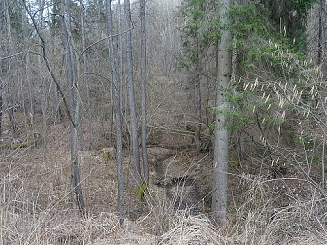Waldbrücklgraben