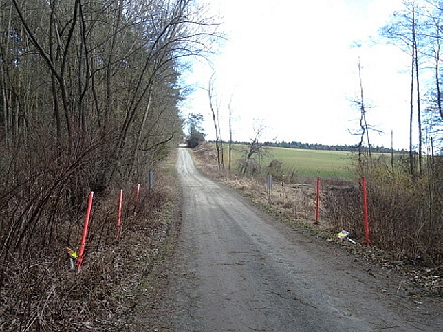 Waldbrcklgraben