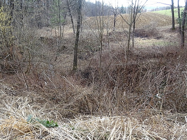 Waldbrcklgraben