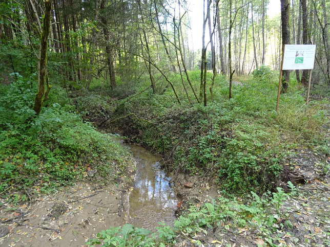 Sommersbach