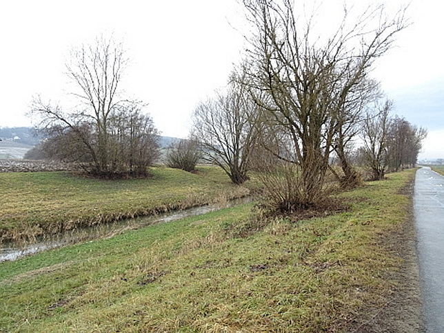 Bach von Hasendorf