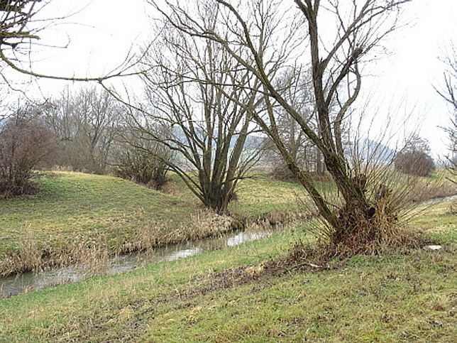 Bach von Hasendorf