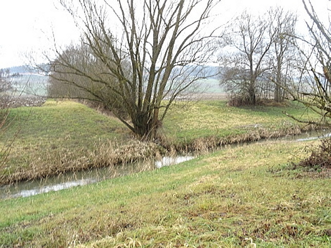Bach von Hasendorf