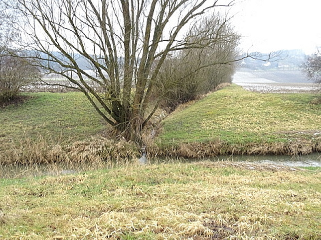 Bach von Hasendorf