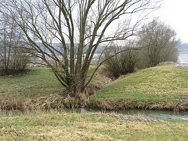 Bach von Hasendorf